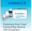 EndoFlux Root Canal Sealer